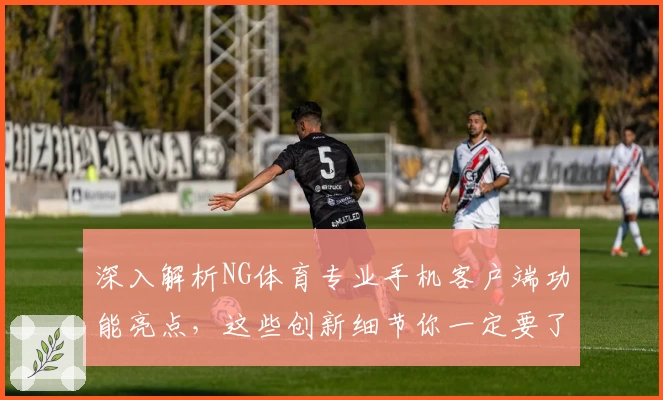 深入解析NG体育专业手机客户端功能亮点，这些创新细节你一定要了解