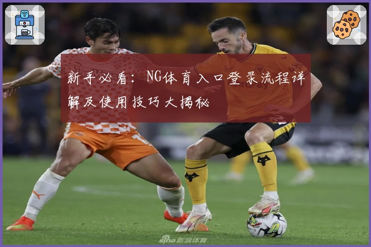 新手必看：NG体育入口登录流程详解及使用技巧大揭秘