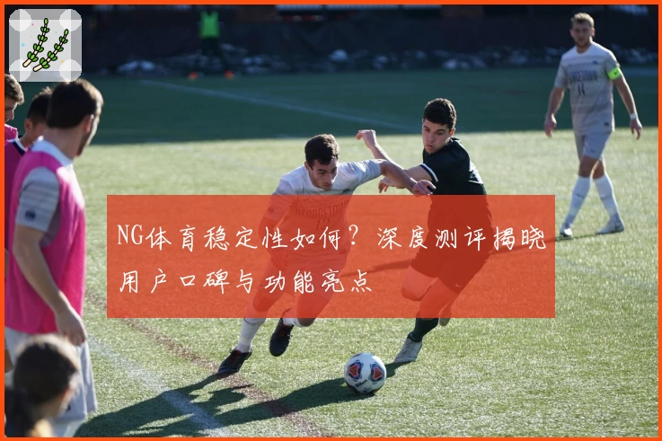 NG体育稳定性如何？深度测评揭晓用户口碑与功能亮点
