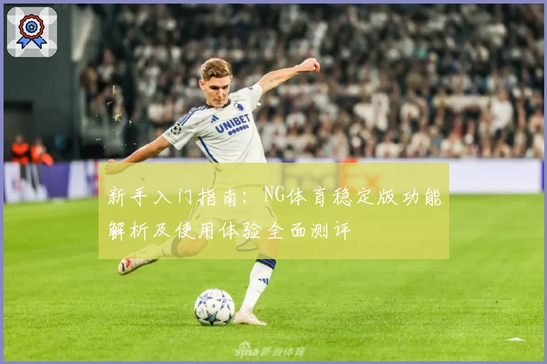 新手入门指南：NG体育稳定版功能解析及使用体验全面测评