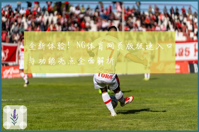 全新体验！NG体育网页版极速入口与功能亮点全面解析