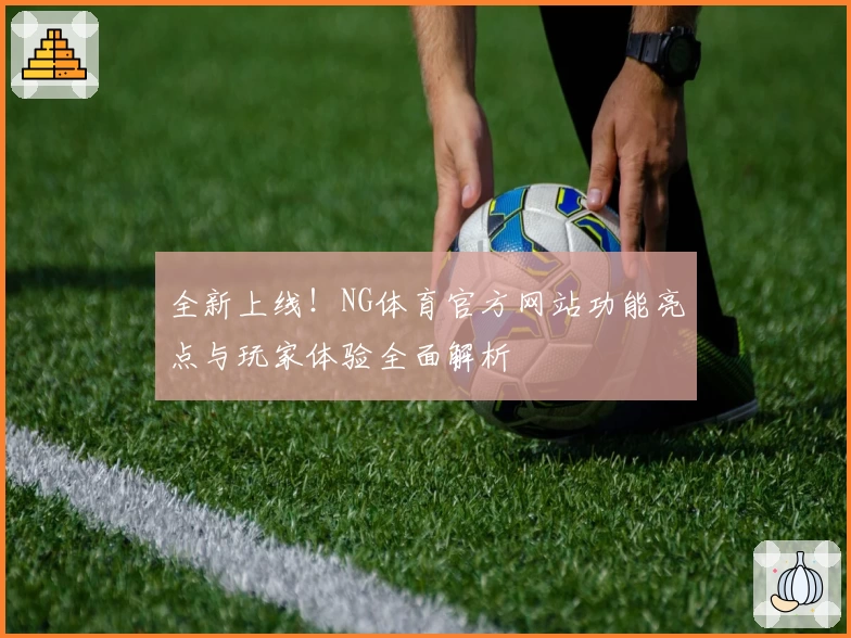 全新上线！NG体育官方网站功能亮点与玩家体验全面解析