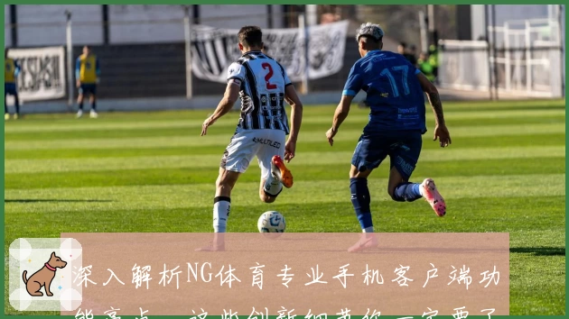 深入解析NG体育专业手机客户端功能亮点，这些创新细节你一定要了解