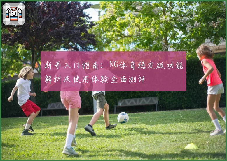 新手入门指南：NG体育稳定版功能解析及使用体验全面测评