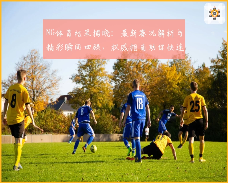 NG体育结果揭晓：最新赛况解析与精彩瞬间回顾，权威指南助你快速掌握动态